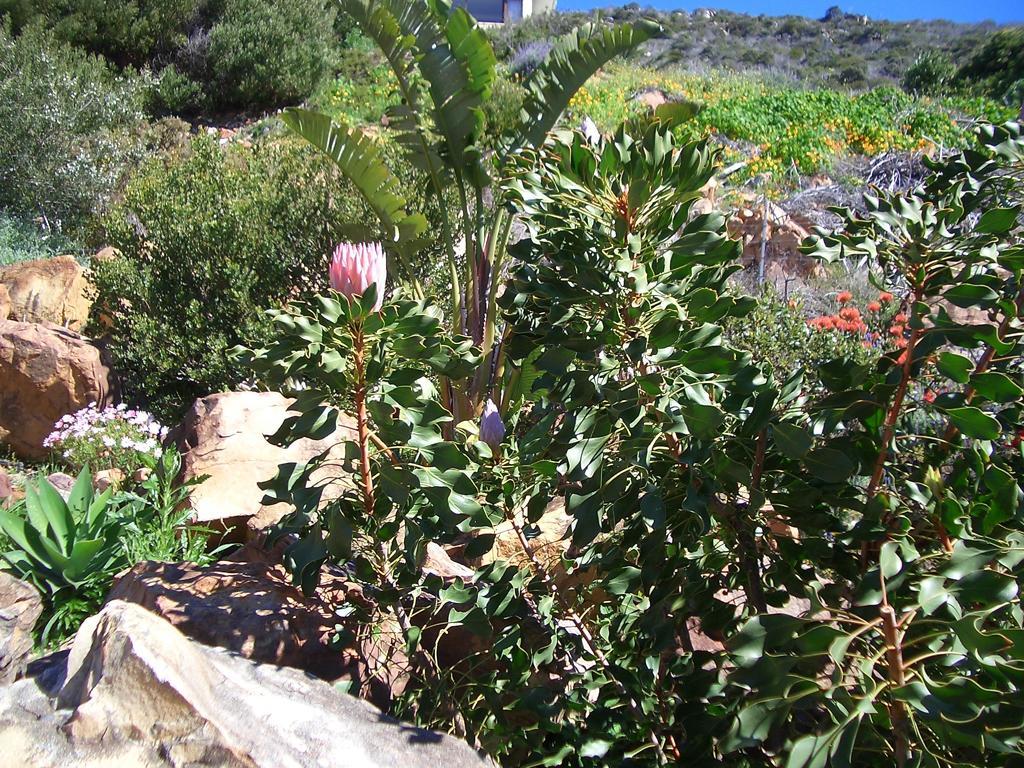 A Place In Thyme Fish Hoek Bagian luar foto